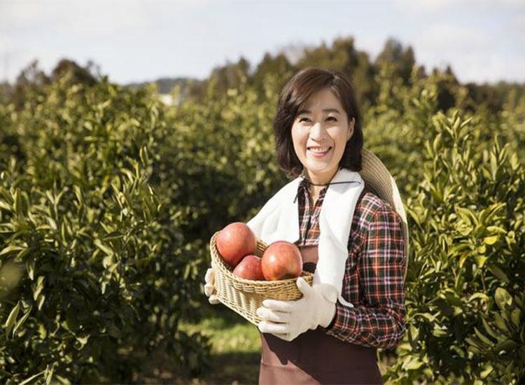 【潤(rùn)康】磨煤機(jī)磨輥與您分享：互聯(lián)網(wǎng)巨頭紛紛賣菜，農(nóng)民會(huì)不會(huì)被“割韭菜”？